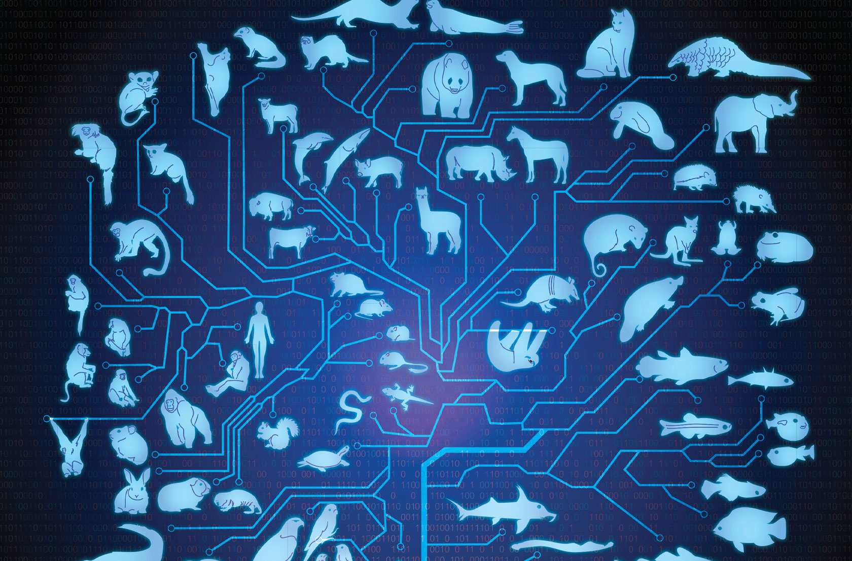 Pictured is an artistic illustration of a species tree reconstructed from genomic data. Image credit: Alice Grishchenko (artist), Yatish Turakhia, and Anshu Gupta.